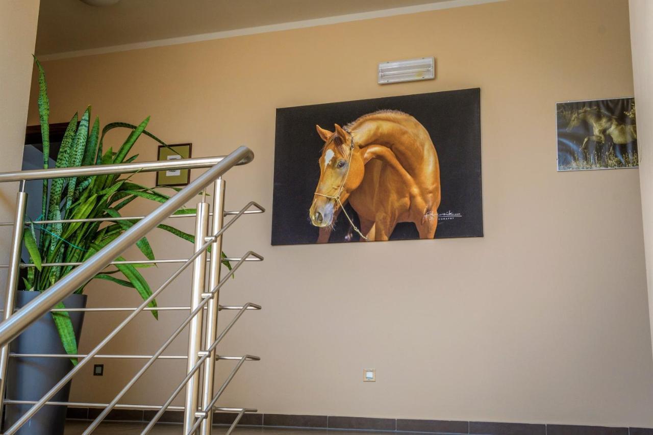 Hotel Horse Riding - Jezdecky Areal Trsice Exterior photo